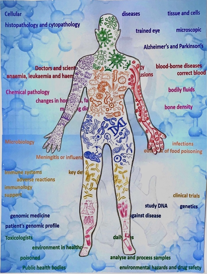 104. Winner Pathology from head to toe.jpg