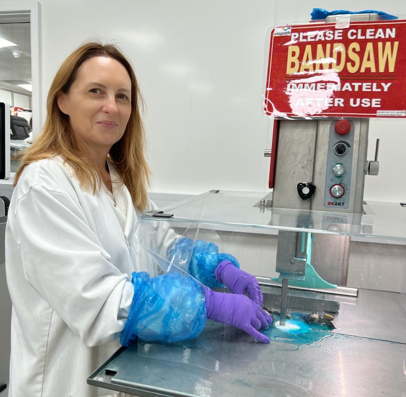 Dr Gillian Hall using a bandsaw to slice a segment of jaw.