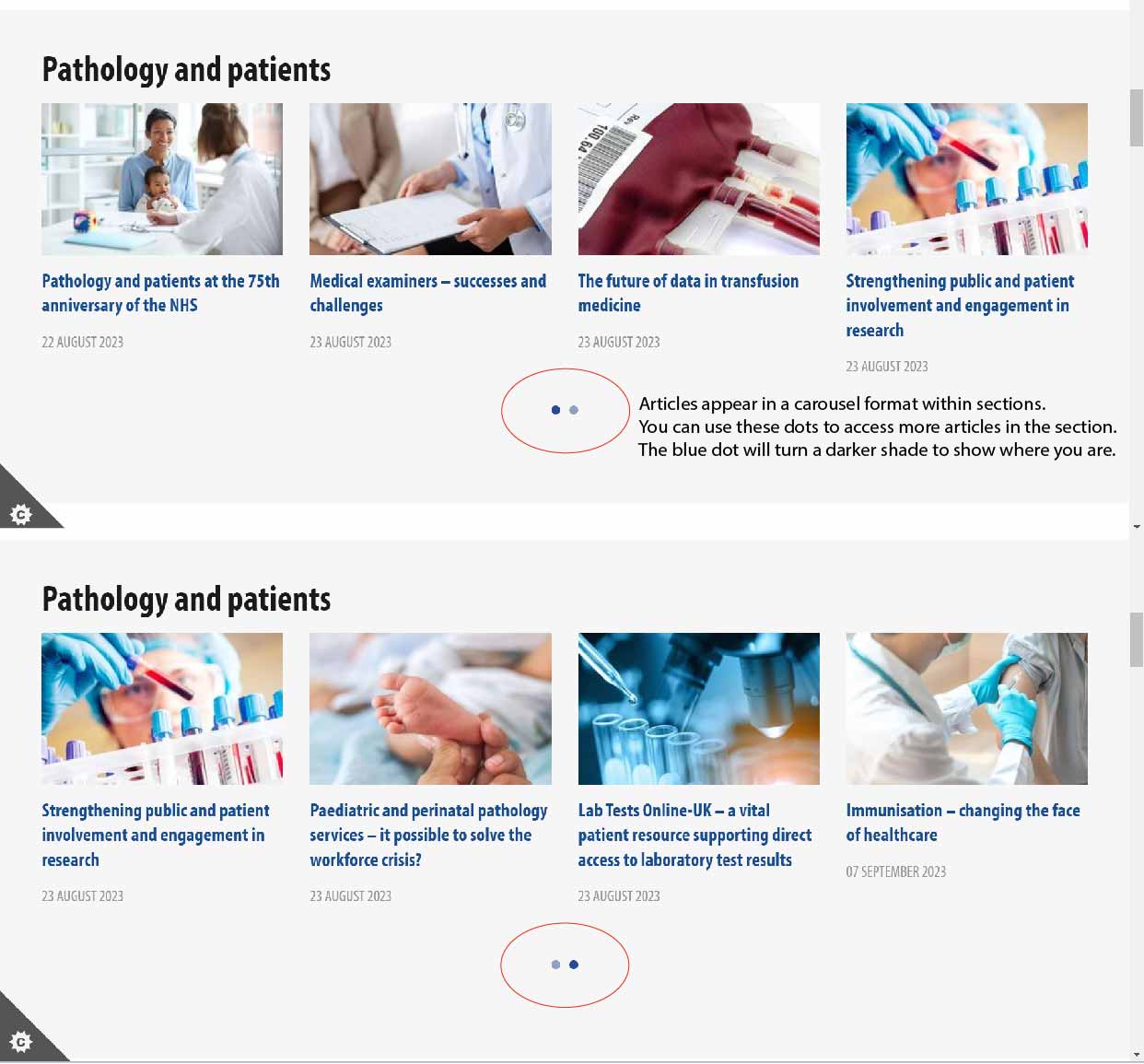 A screenshot showing how you click on the blue dots to show more articles in a section