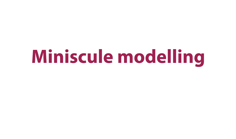 Miniscule modelling